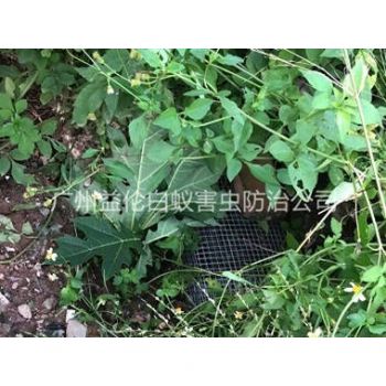 洛浦上門驅蛇防蛇